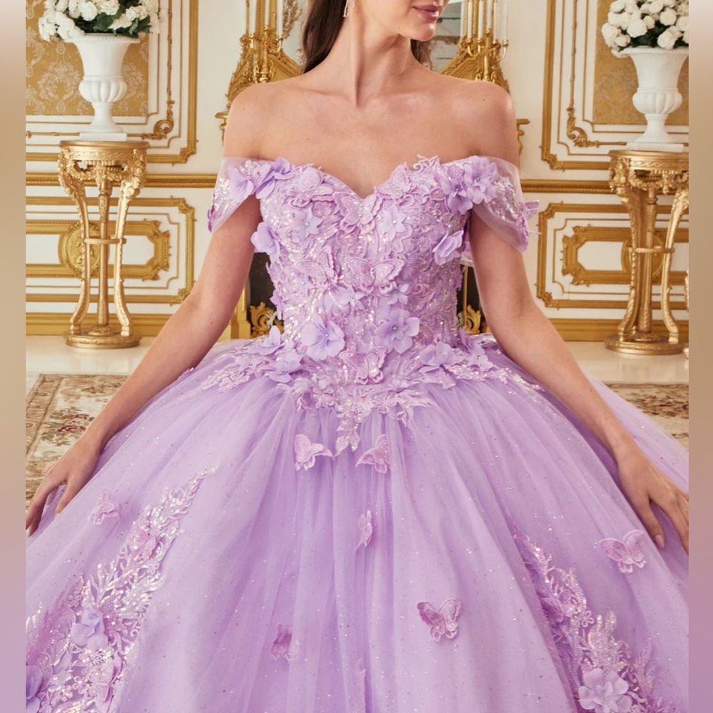 Floral and butterfly appliqué off shoulder quinceañera Ball Gown by Ladivine